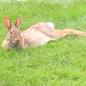 Meet your Posher, Cameron